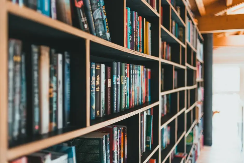 Maximum Shelf Span Without Support: Where Shelves Sag