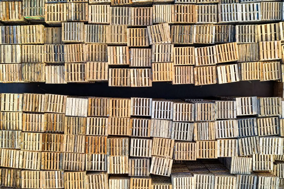 Anforderungen an die ISPM-15-Kennzeichnung: 6 Stempel, die am Zoll scheitern