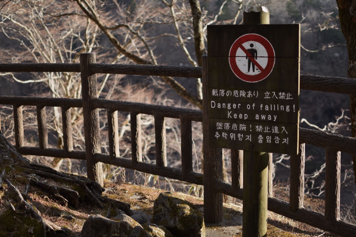 The html lang attribute: 27 of 27 declare one, Google ignores it